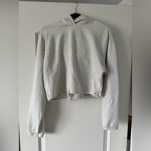 Aritzia Babaton Light Gray Cropped Hoodie Sweater